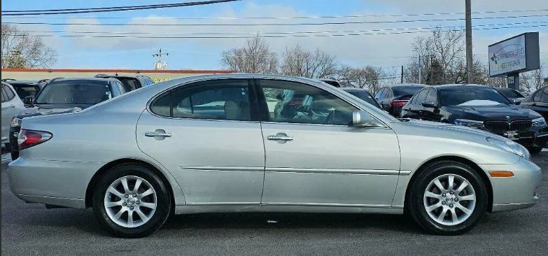inline_6999750c2217b.png