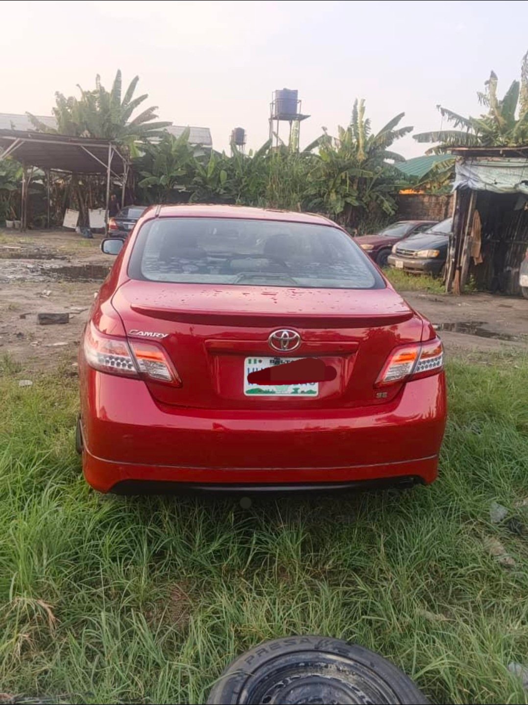 Toyota Camry (Spider) image 2