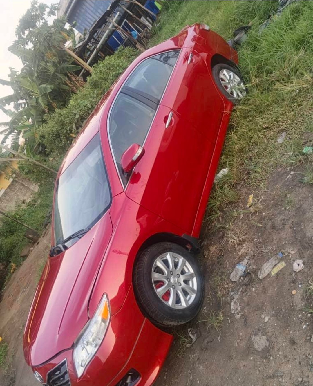 Toyota Camry (Spider) image 6
